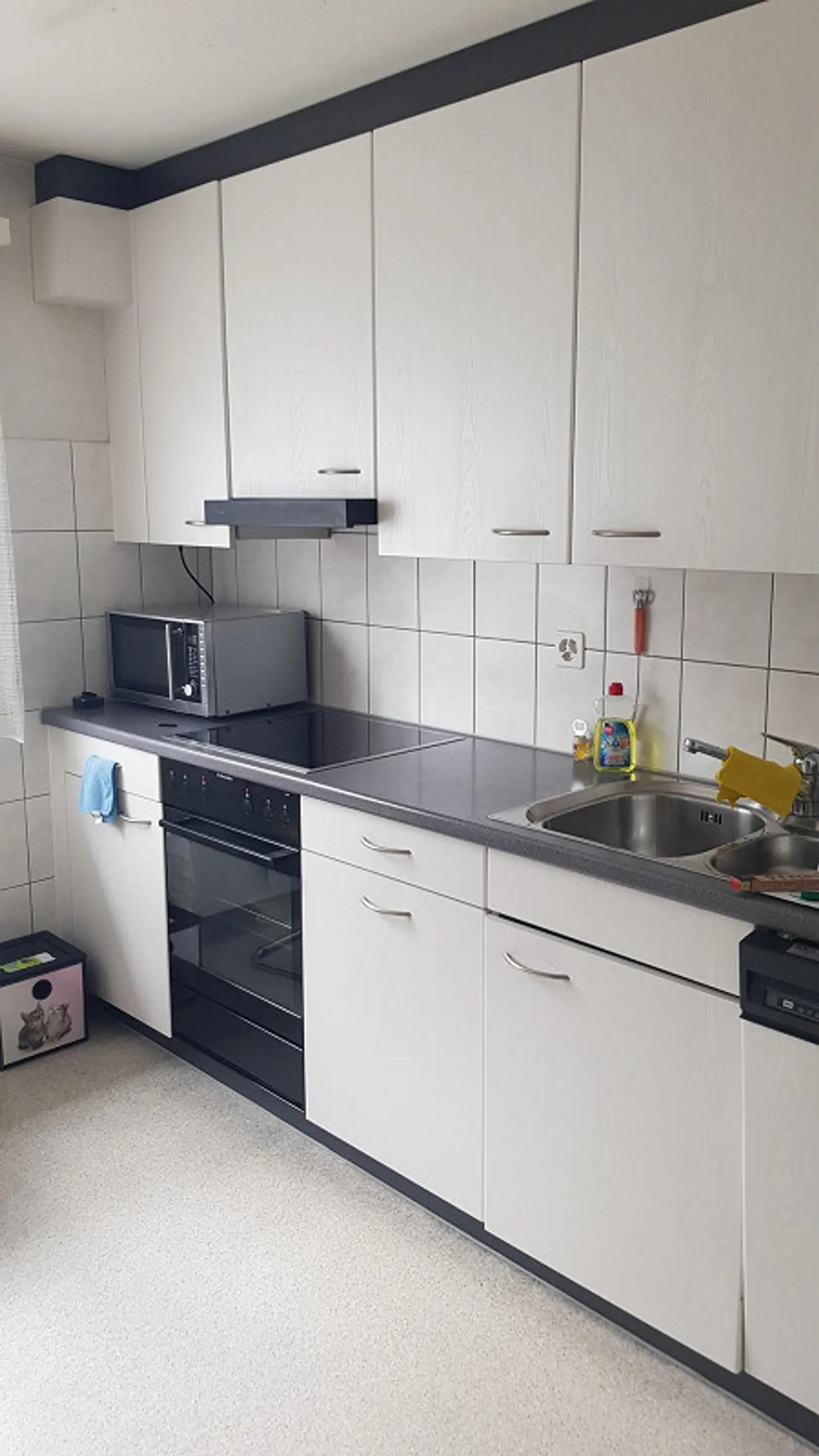 Appartement de 4,5 pièces temporaire - Photo 4 sur 5