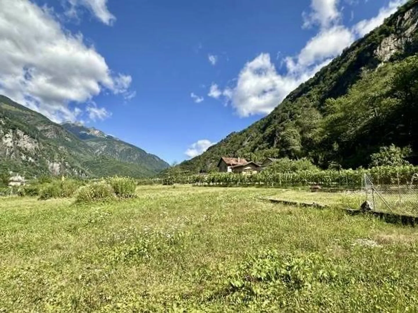 Building land of 925 m2 and property with house, vineyard and meadow... - Photo 1 of 21