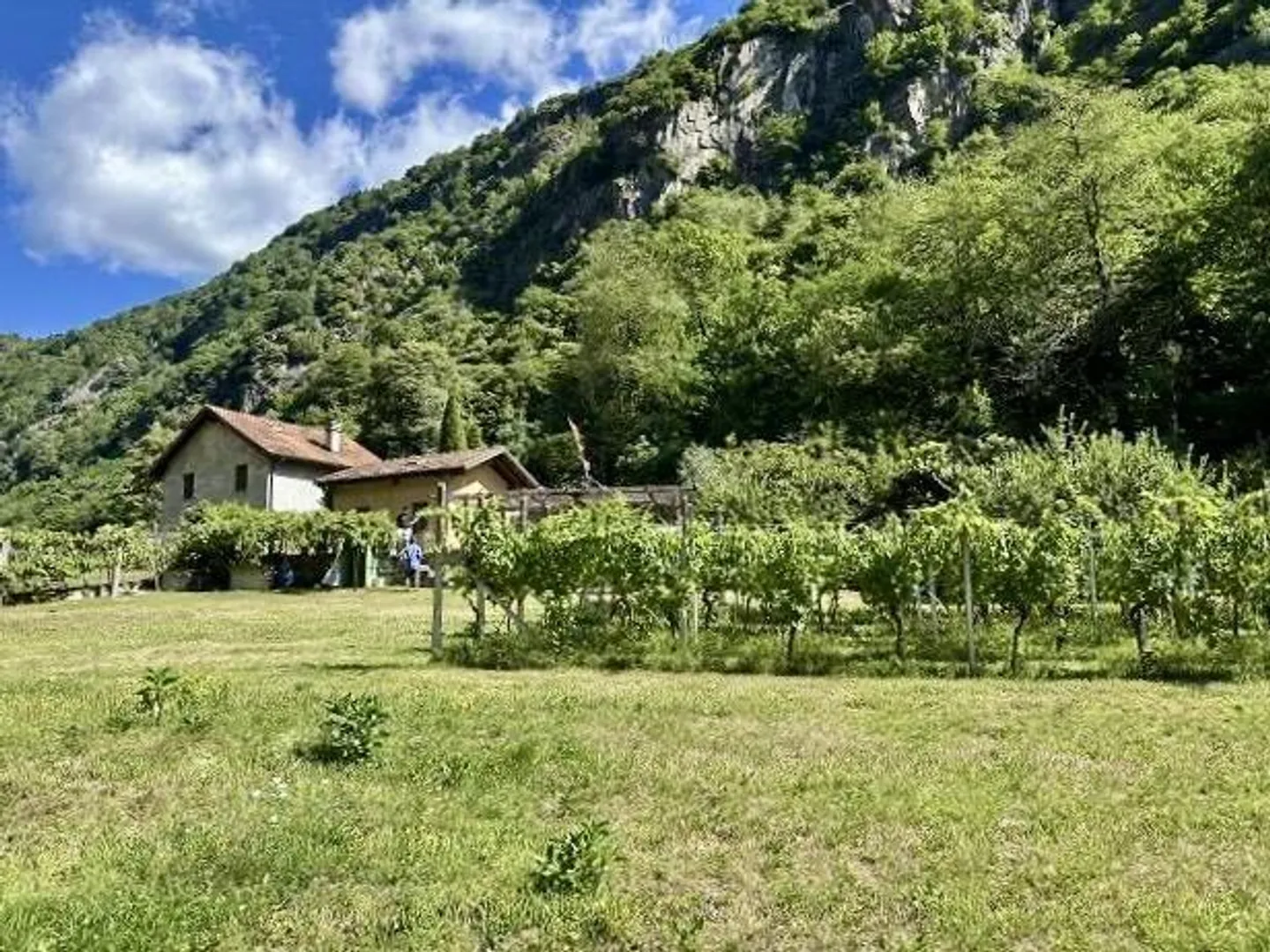 Building land of 925 m2 and property with house, vineyard and meadow... - Photo 18 of 21