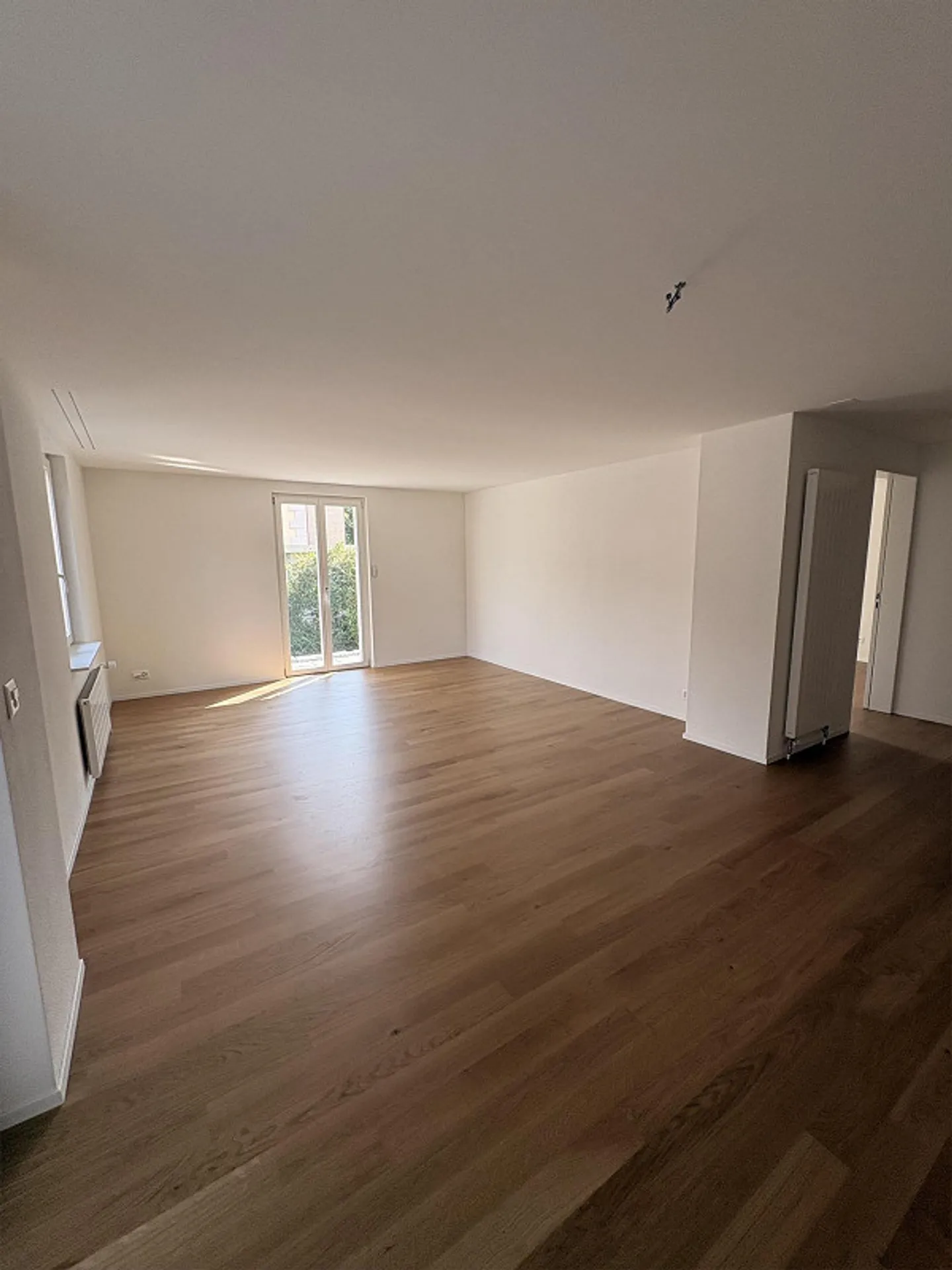 Ampio appartamento di 3,5 stanze, grande terrazza e lavatrice privata - Foto 4 di 13
