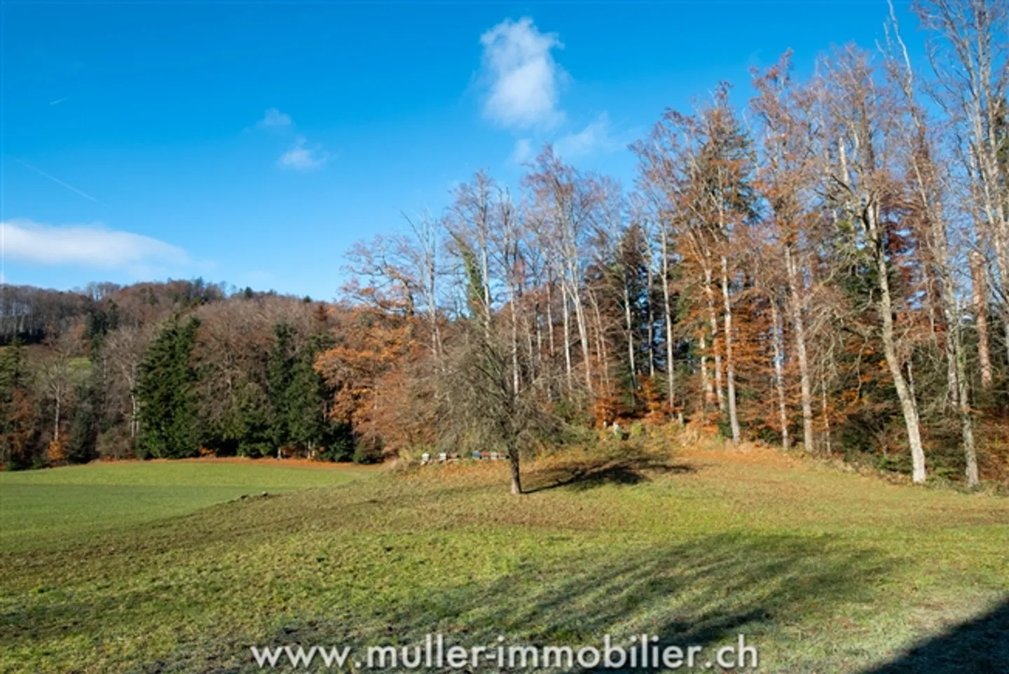Maison jumelée au pied du Tour de Gourze - Photo 13 sur 13