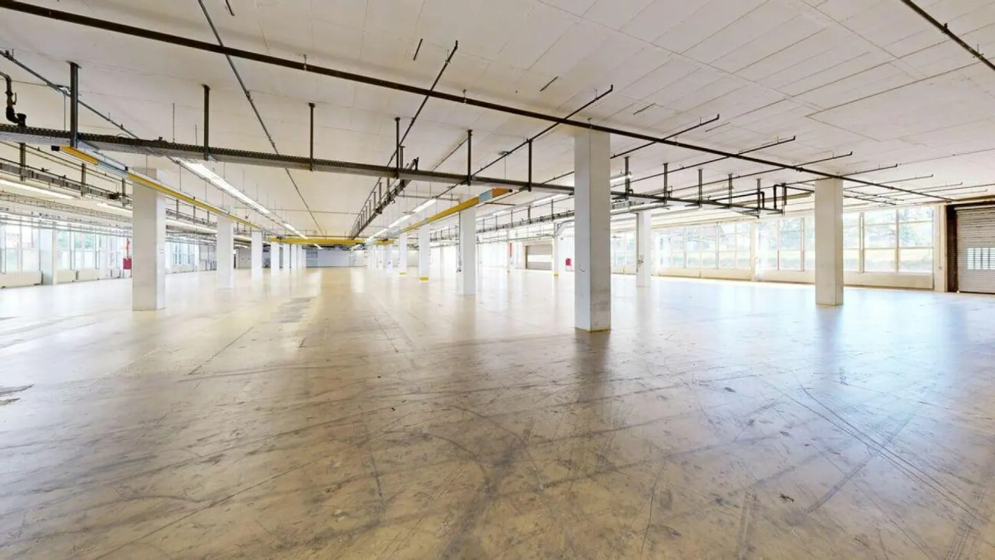 3'763m2 - Spazi di stoccaggio, logistica o produzione di prima classe - Foto 3 di 12