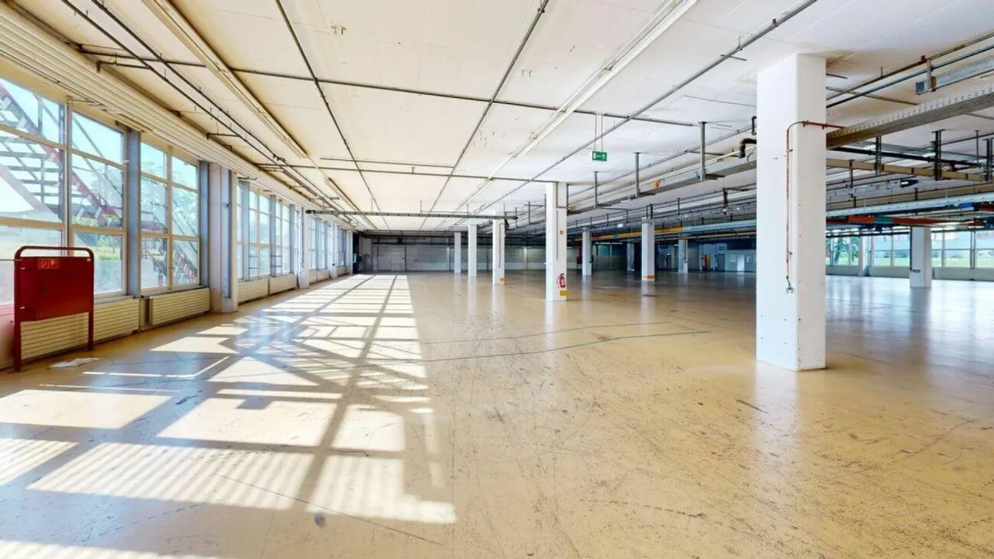 3'763m2 - Spazi di stoccaggio, logistica o produzione di prima classe - Foto 4 di 12