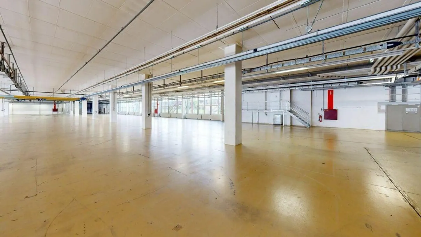 3'763m2 - Spazi di stoccaggio, logistica o produzione di prima classe - Foto 7 di 12