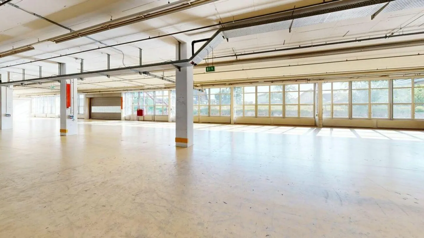 3'763m2 - Spazi di stoccaggio, logistica o produzione di prima classe - Foto 9 di 12