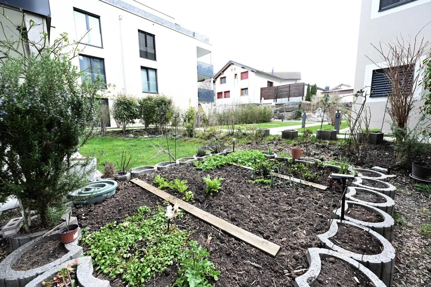 Stilvolle Gartenwohnung in Trimmis - Foto 13 von 16