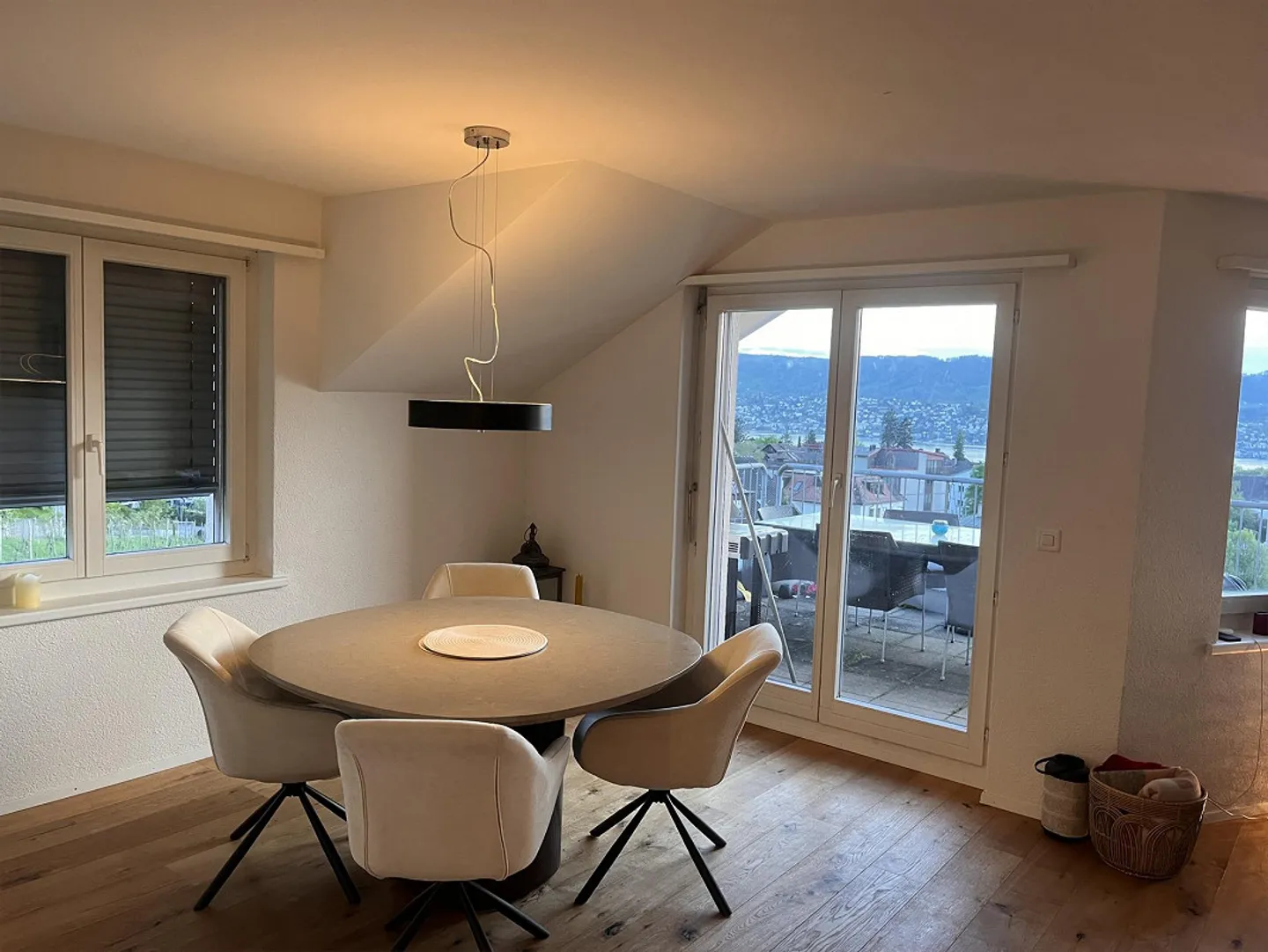 Cercasi coinquilino amichevole a Zollikon - Foto 3 di 12