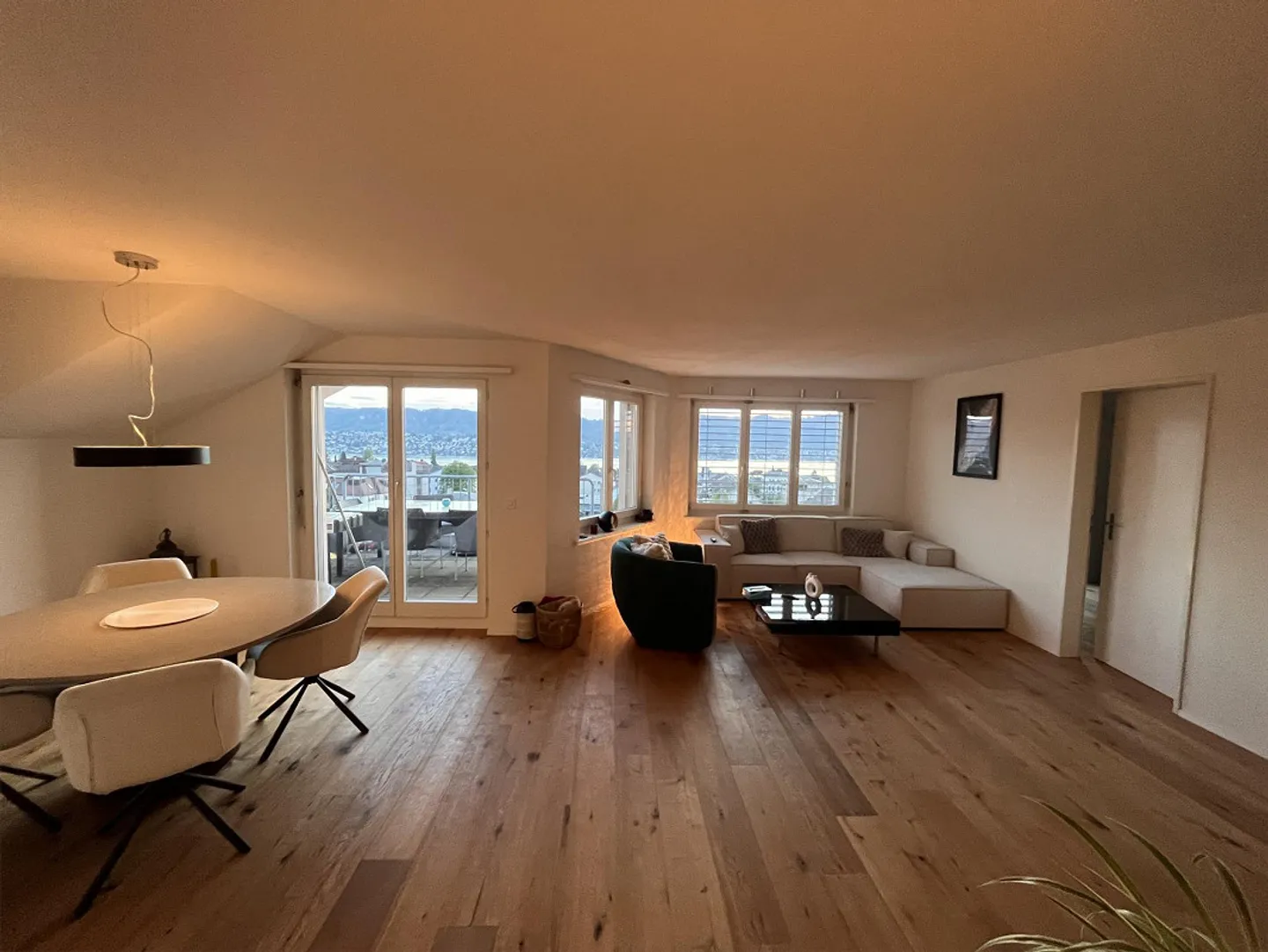 Cercasi coinquilino amichevole a Zollikon - Foto 1 di 12