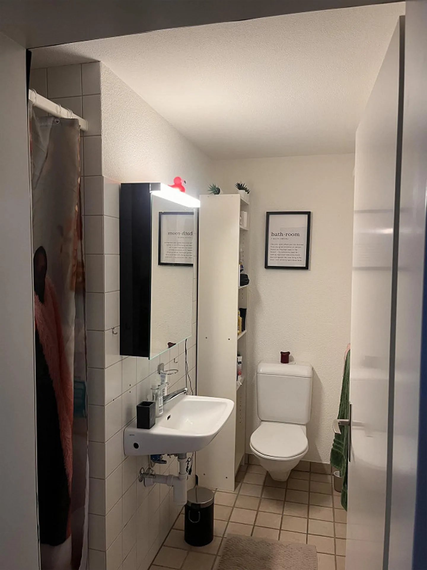 Cercasi coinquilino amichevole a Zollikon - Foto 8 di 12