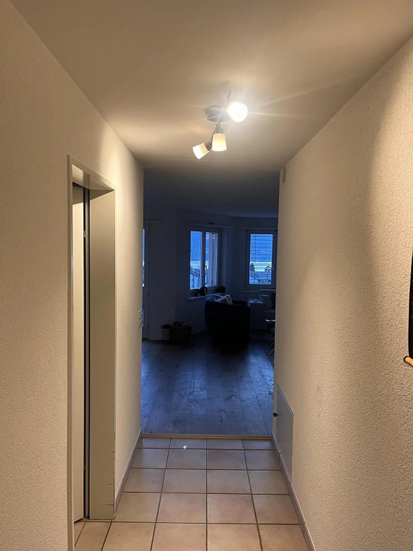 Cercasi coinquilino amichevole a Zollikon - Foto 9 di 12