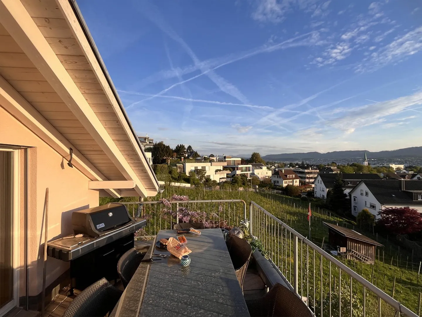 Cercasi coinquilino amichevole a Zollikon - Foto 11 di 12