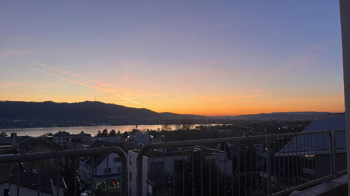 Cercasi coinquilino amichevole a Zollikon - Foto 12 di 12