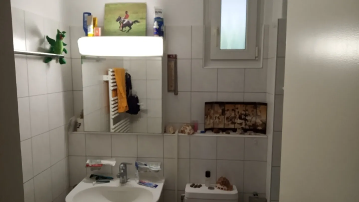 "Appartement 2 pièces à Stäfa (ZH), meublé, temporaire" - Photo 6 sur 6