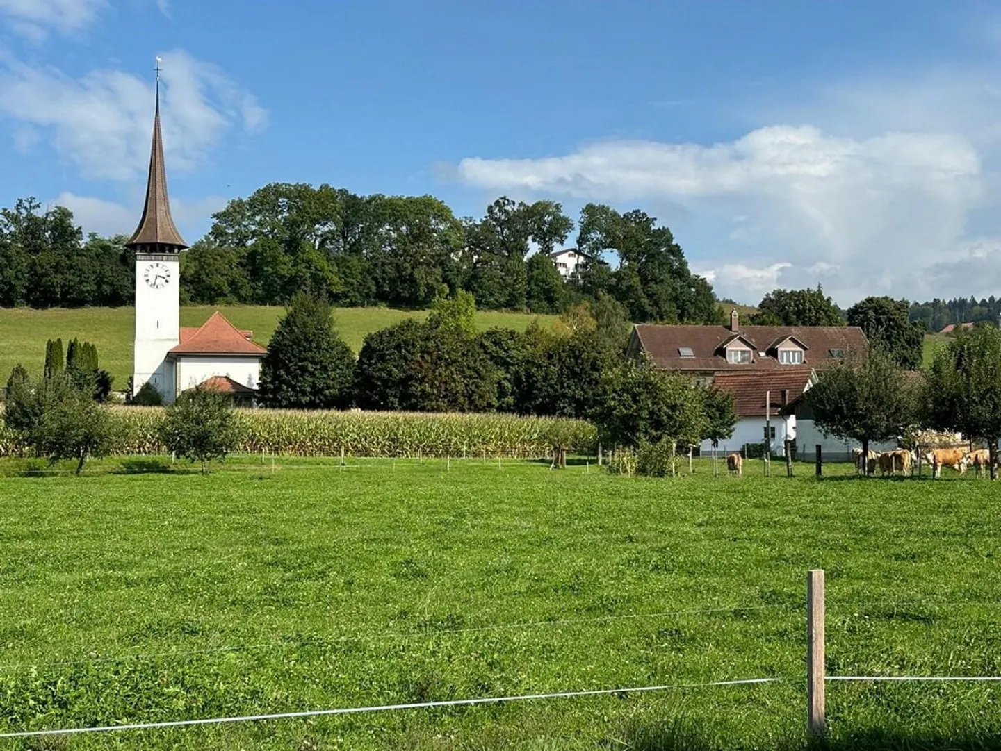 Vivre spacieux à Wichtrach! - Photo 15 sur 17