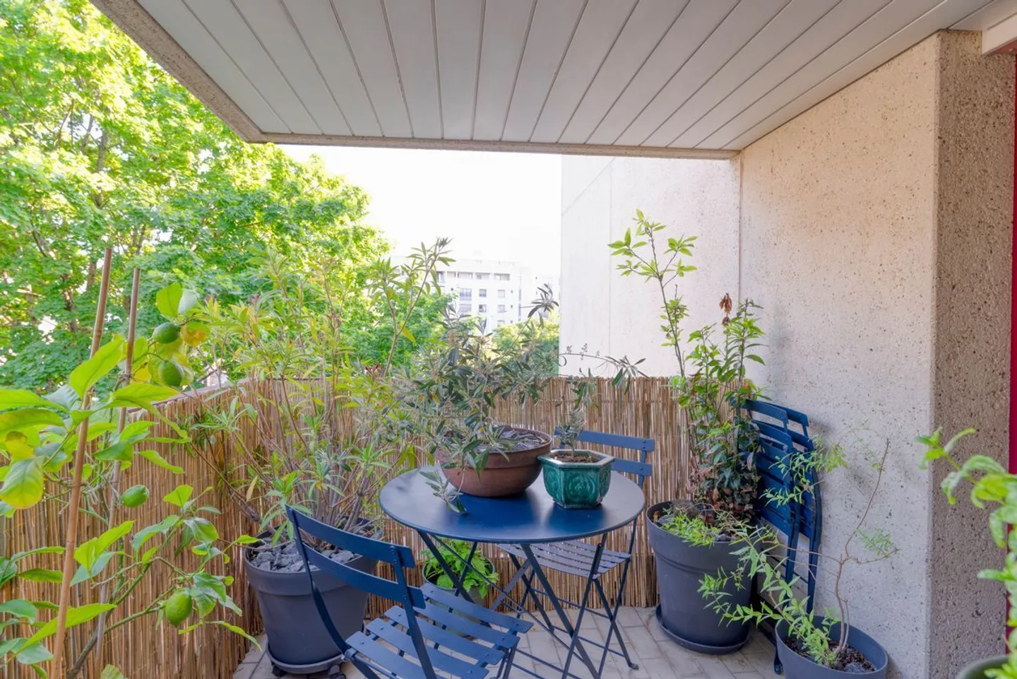 Renovated 4-room apartment with two balconies - Photo 4 of 13