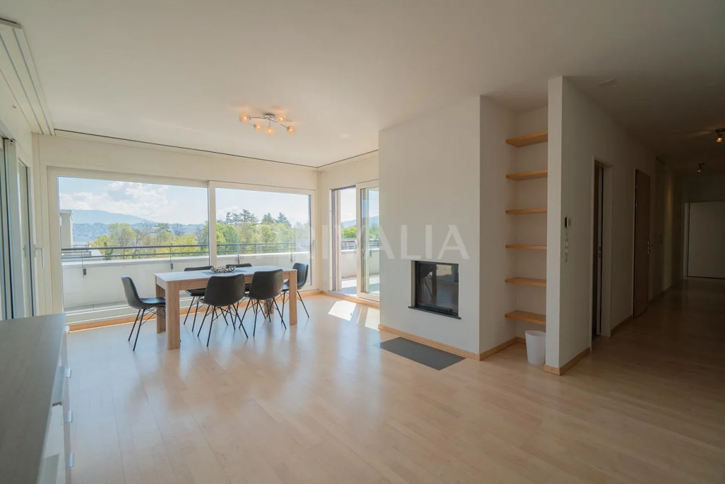 Penthouse for rent - Photo 4 of 13