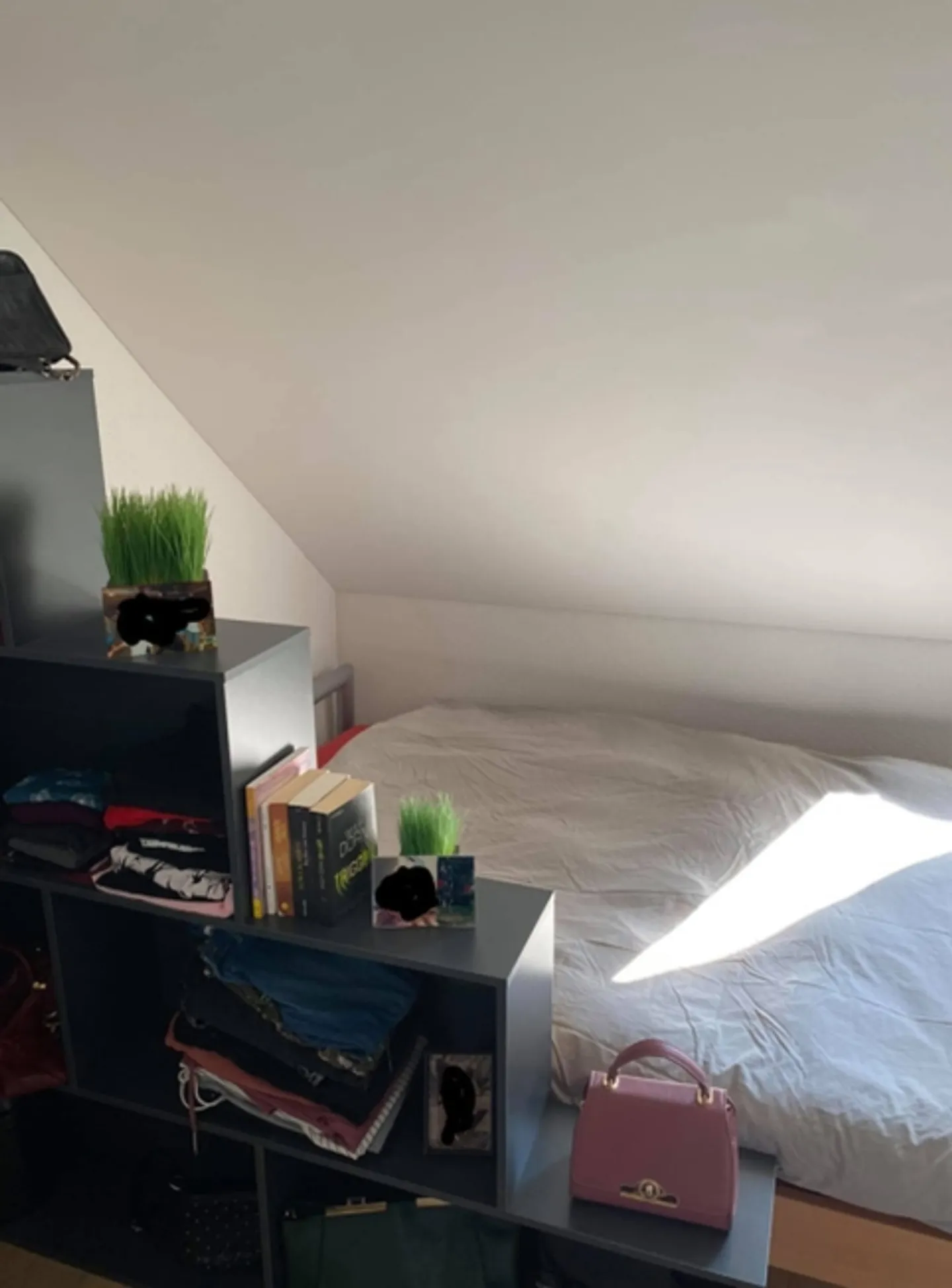 3½ ROOM APARTMENT IN EMBRACH (ZH), FURNISHED, TEMPORARY - Photo 6 of 8