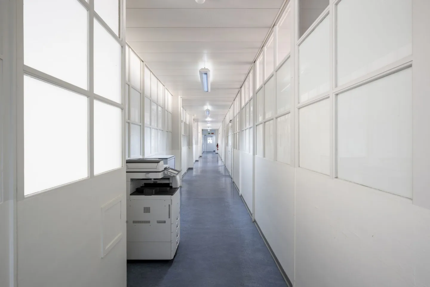 Stanze luminose in un ambiente storico ad Aarau - Foto 4 di 10