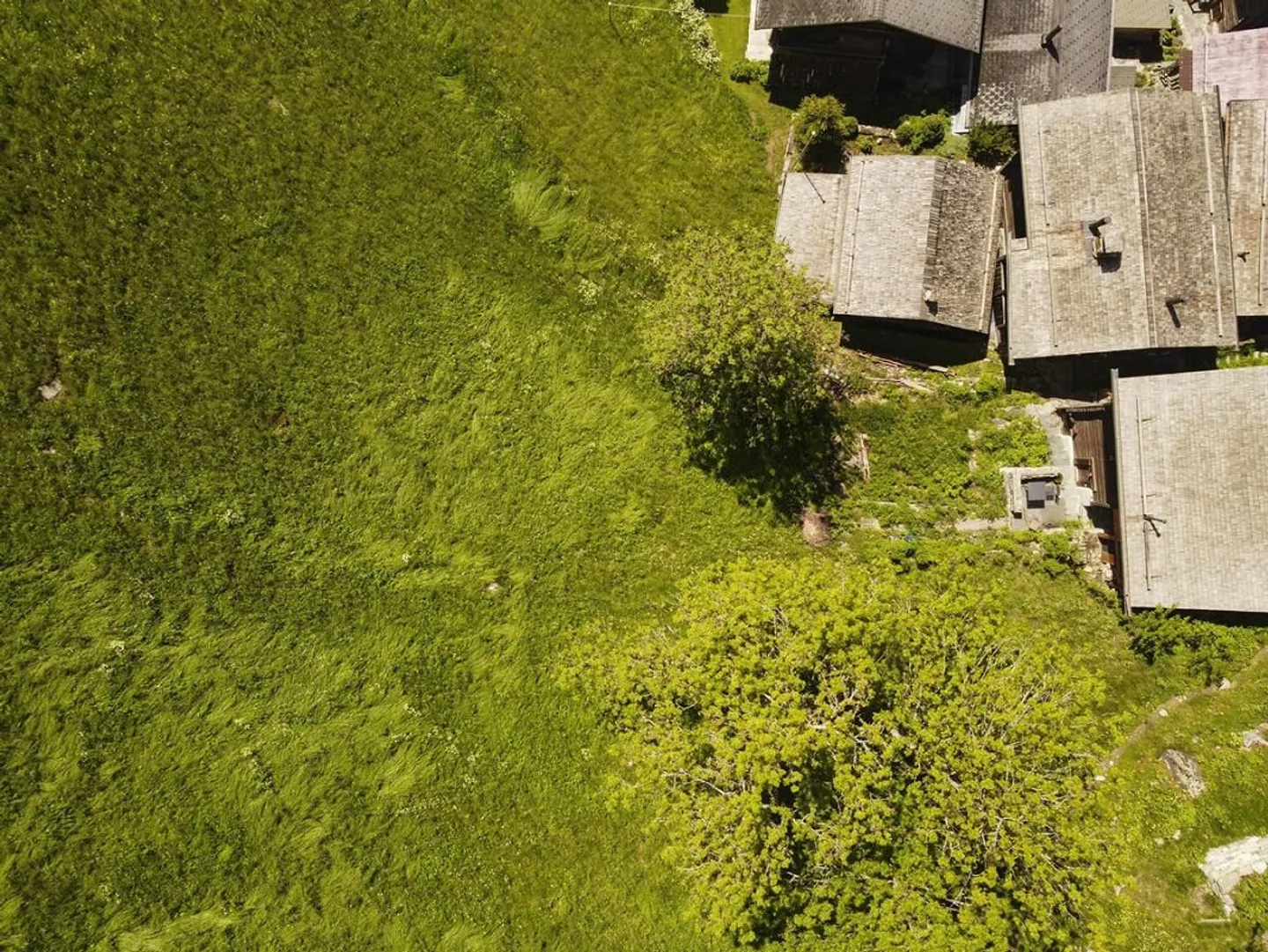 Historic House with Lots of Charm in Niederwald - Photo 31 of 33