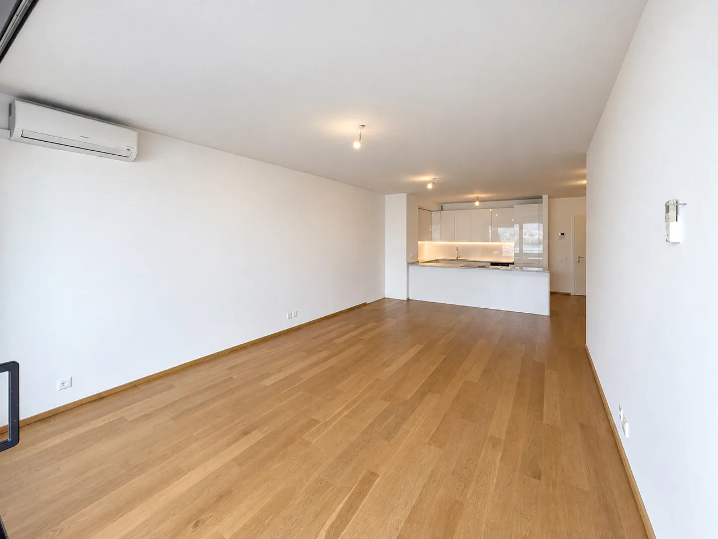 Appartement 3.5 pièces avec vue sur le lac à Paradiso - Photo 4 sur 12