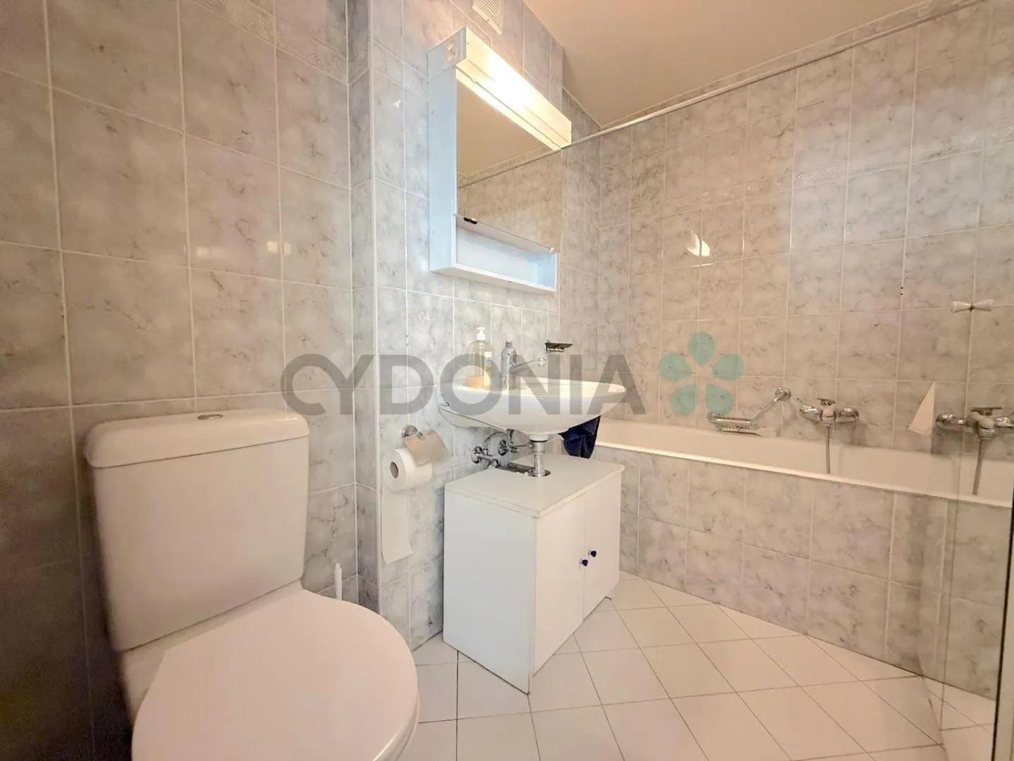 Exclusif ! Duplex en attique, à deux pas du lac - Photo 8 sur 10