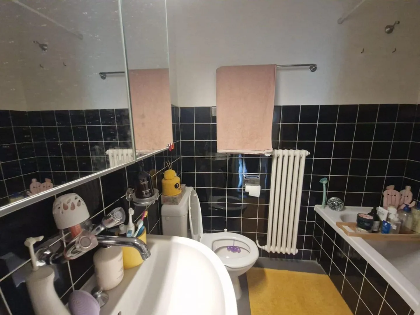 Geräumige Wohnung in Baden - Foto 7 von 10