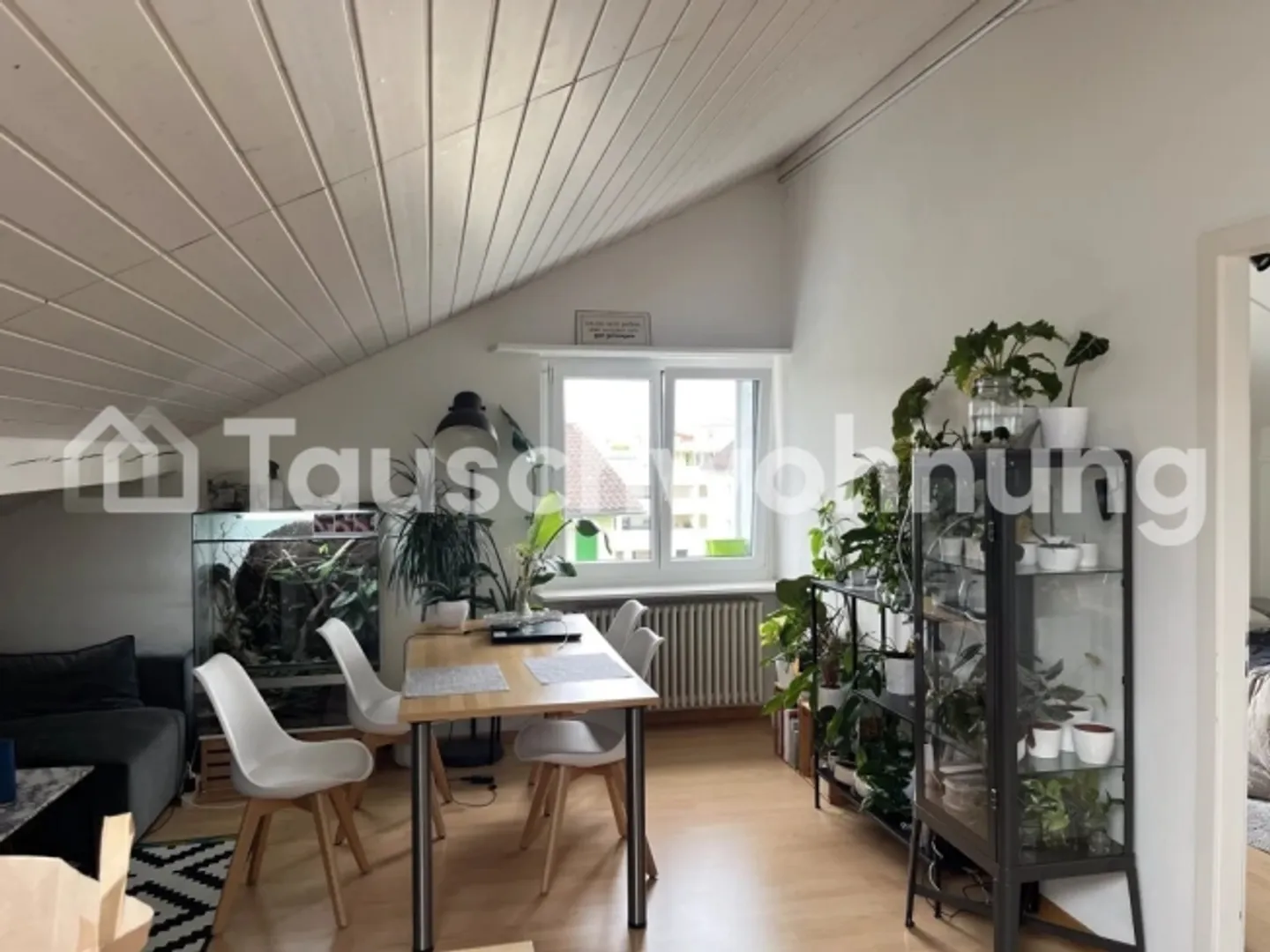 « 2-Zimmer-Wohnung in Heerbrugg (SG) zum Tausch» - Foto 1 von 8