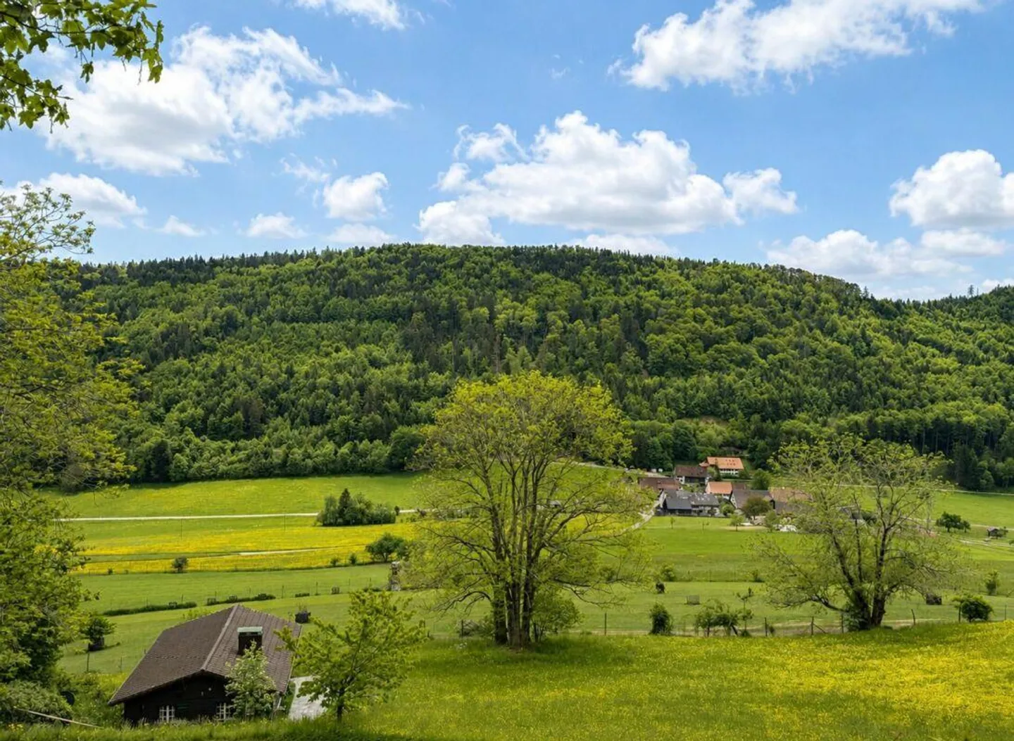 Charmantes Wochenendhäuschen - Foto 2 von 15