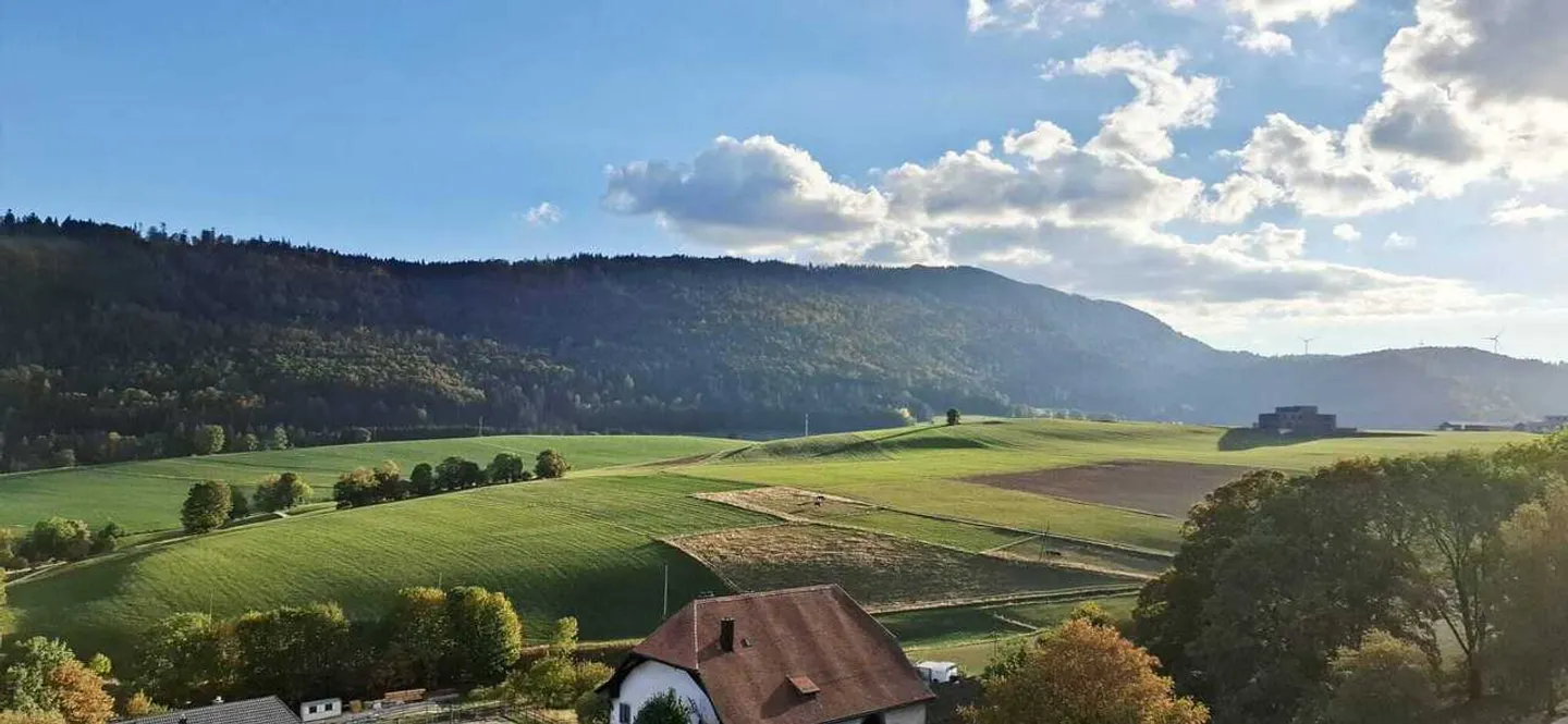 Alpes 29 - Appartamento di 2,5 locali, ~ 130 m2, mansarda - Foto 10 di 11