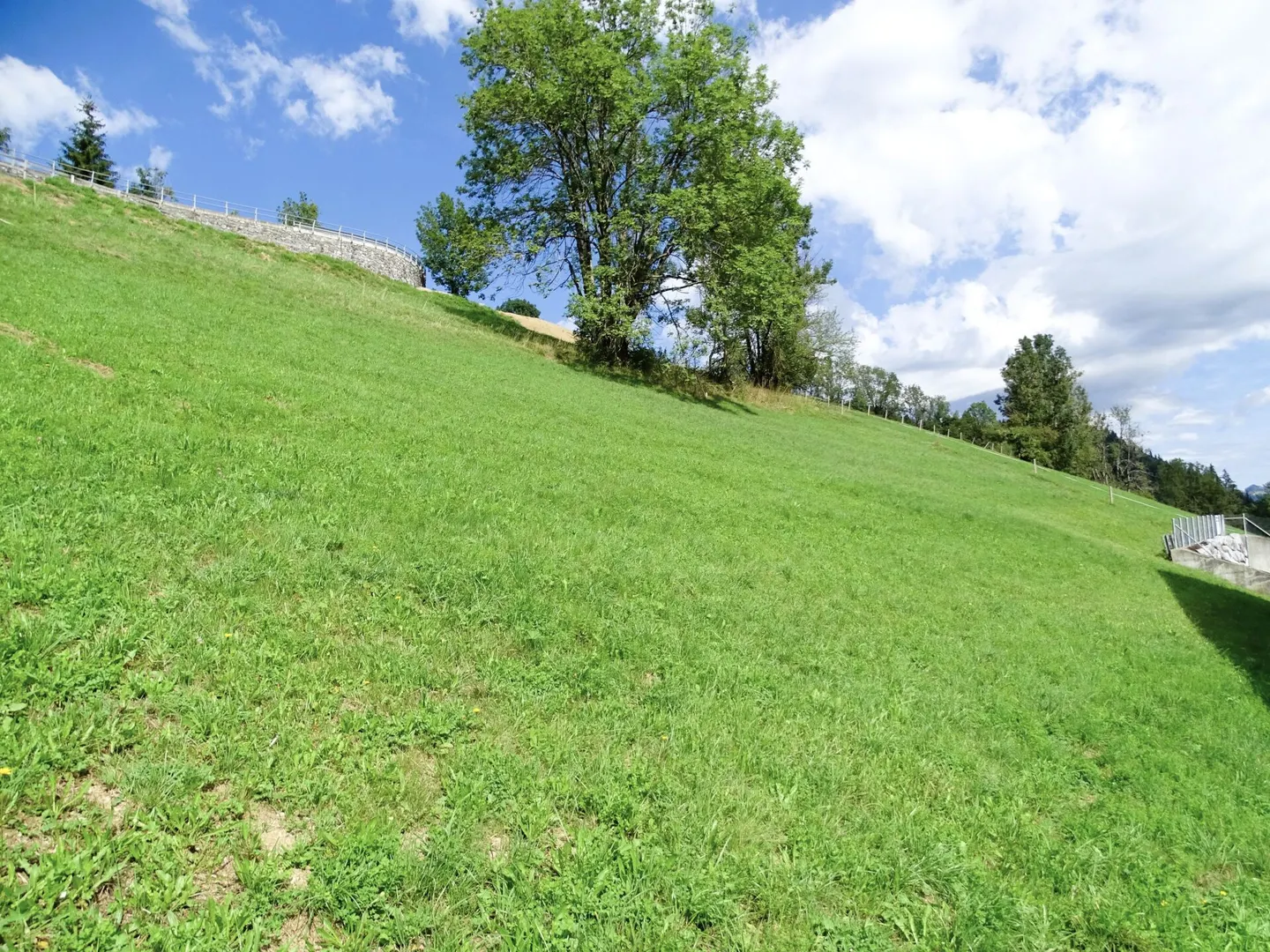 Building plot on a hillside in Zweisimmen BE - Photo 2 of 9