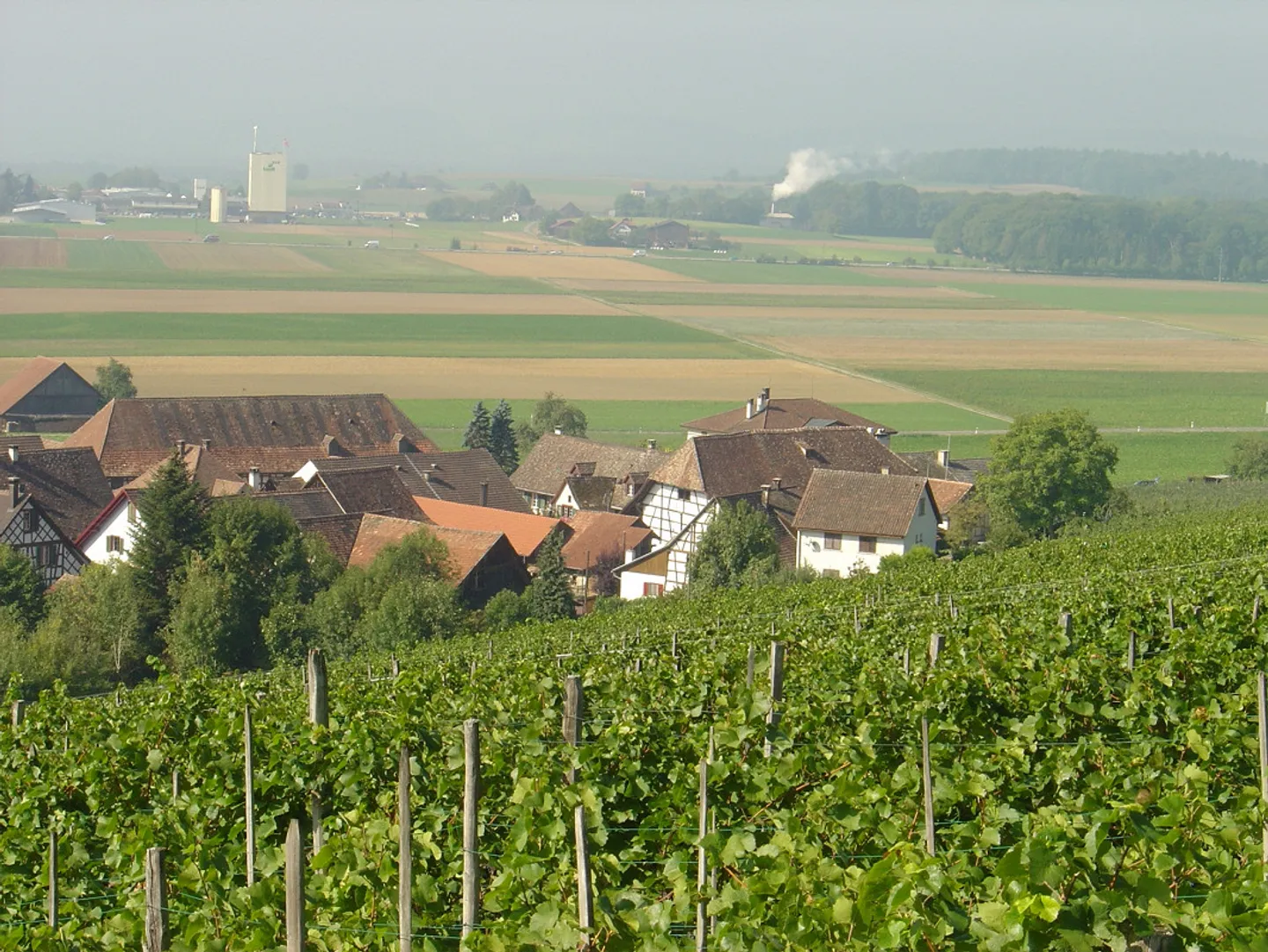 Original, large 4-room apartment - Photo 2 of 9