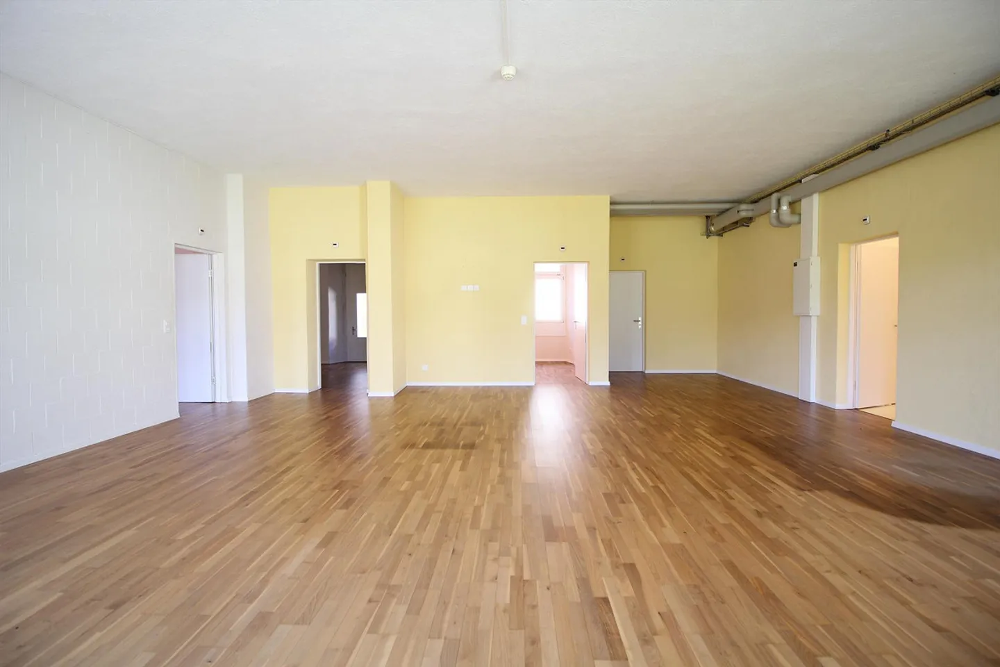 Representative 6.5-room office space / commercial / studio / practice - Photo 3 of 17