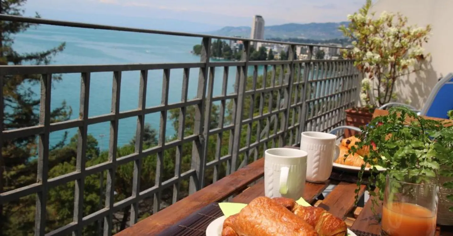 Appartement meublé en bord de lac avec vue spectaculaire - Photo 3 sur 9