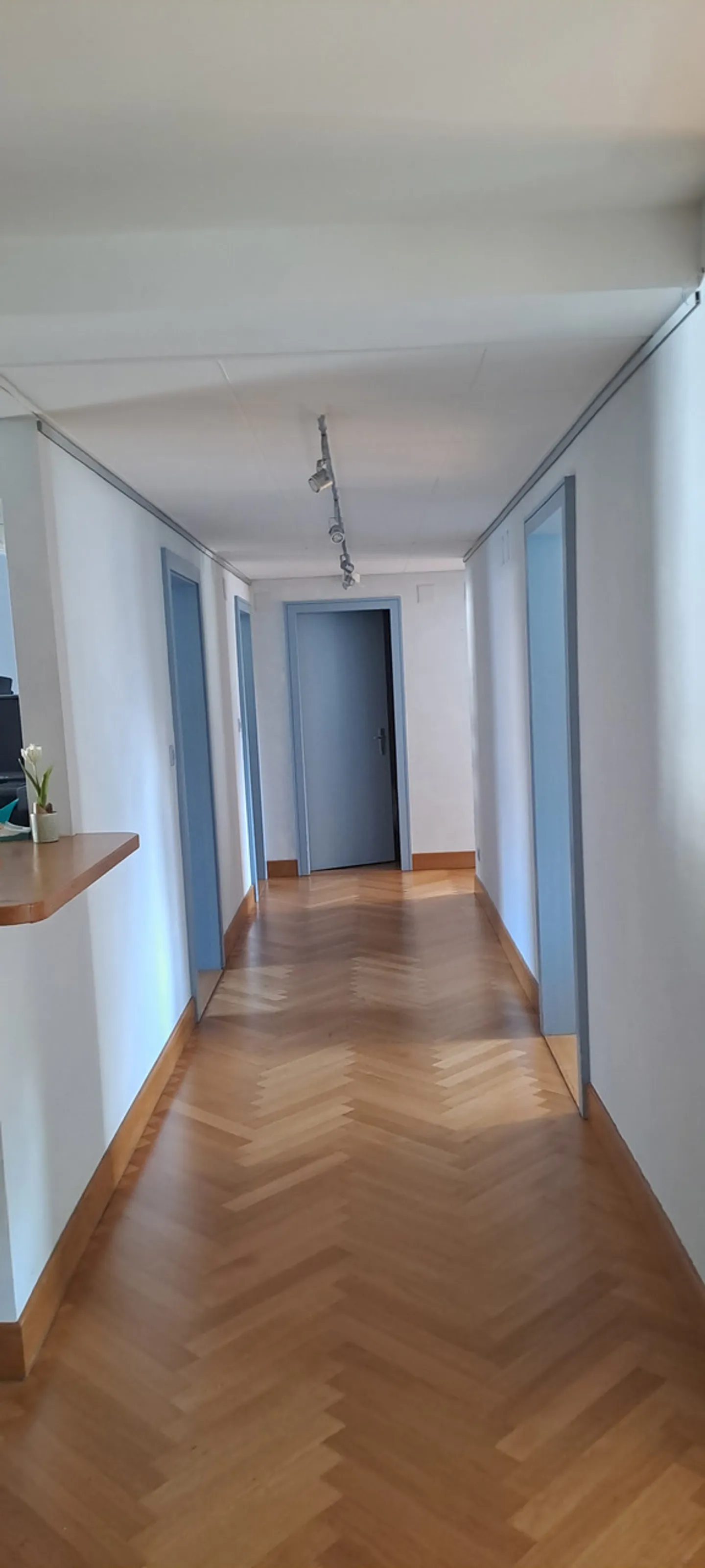 LARGE OFFICE WITH CHARACTER FOR RENT - Photo 4 of 15