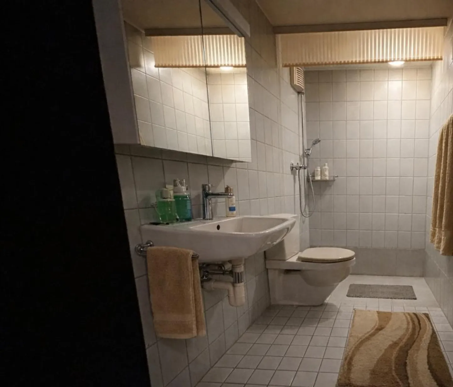 Appartement lumineux 1.5 pièces - Photo 3 sur 8