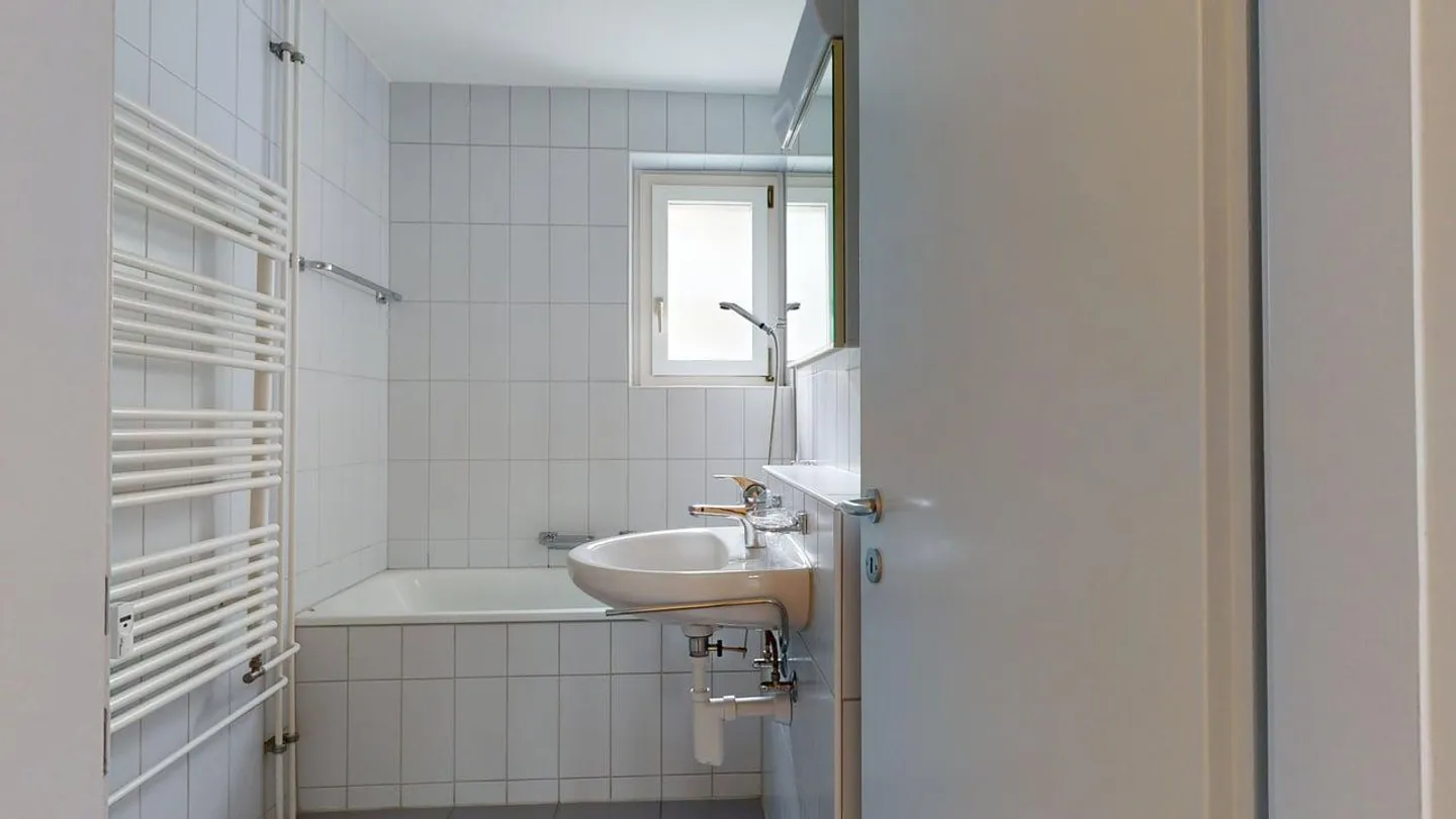 Accogliente appartamento di 4 stanze a Birsfelden - Foto 9 di 9