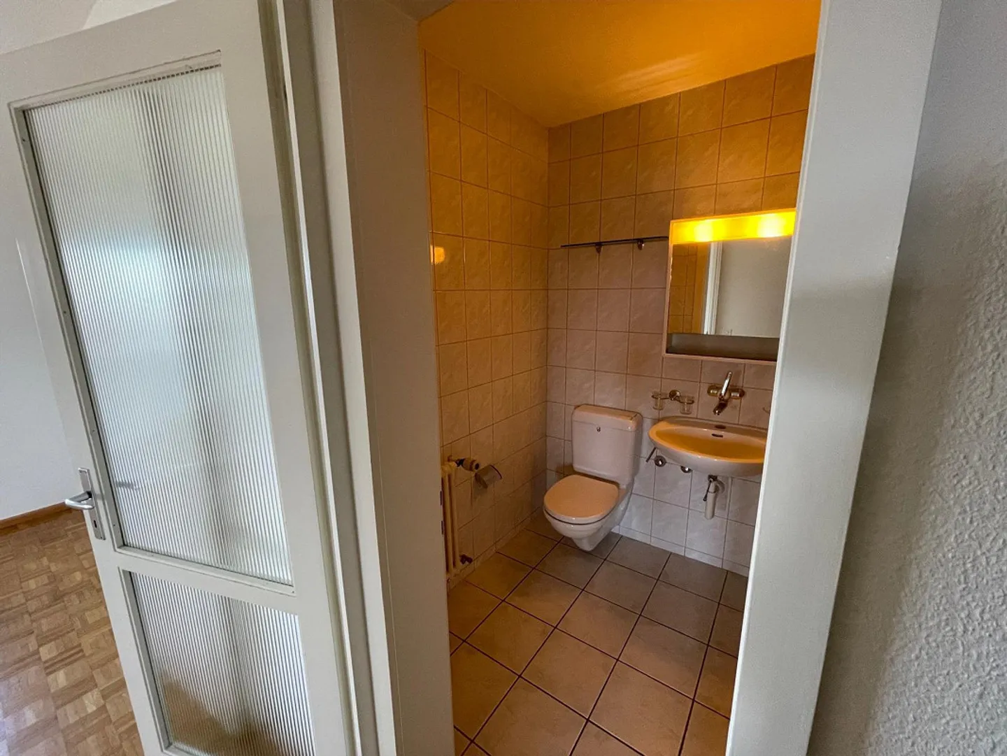 Nuovi inquilini cercasi per un ampio appartamento di 2 stanze ad Allschwil - Foto 8 di 13