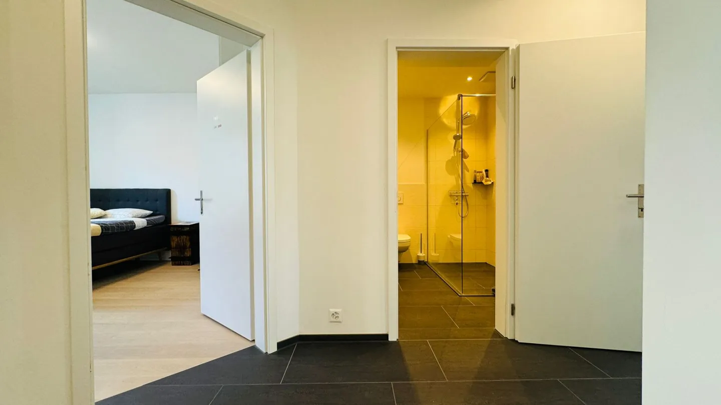 Appartamento arredato 3,5 locali completamente ristrutturato - Foto 8 di 10