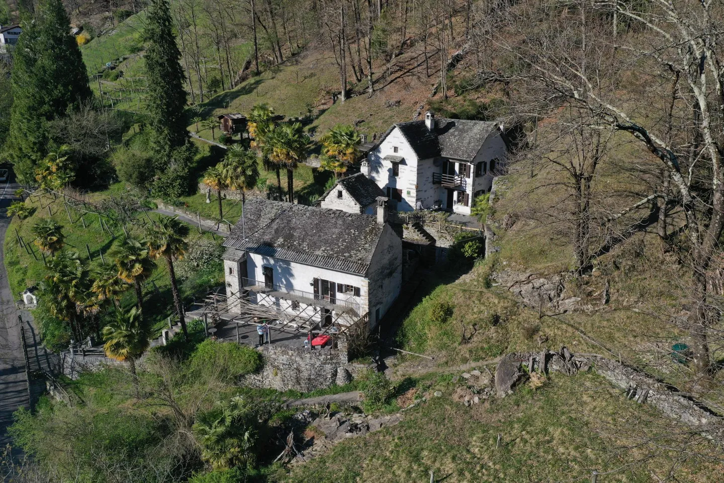 Casa singola in affitto - Foto 4 di 14