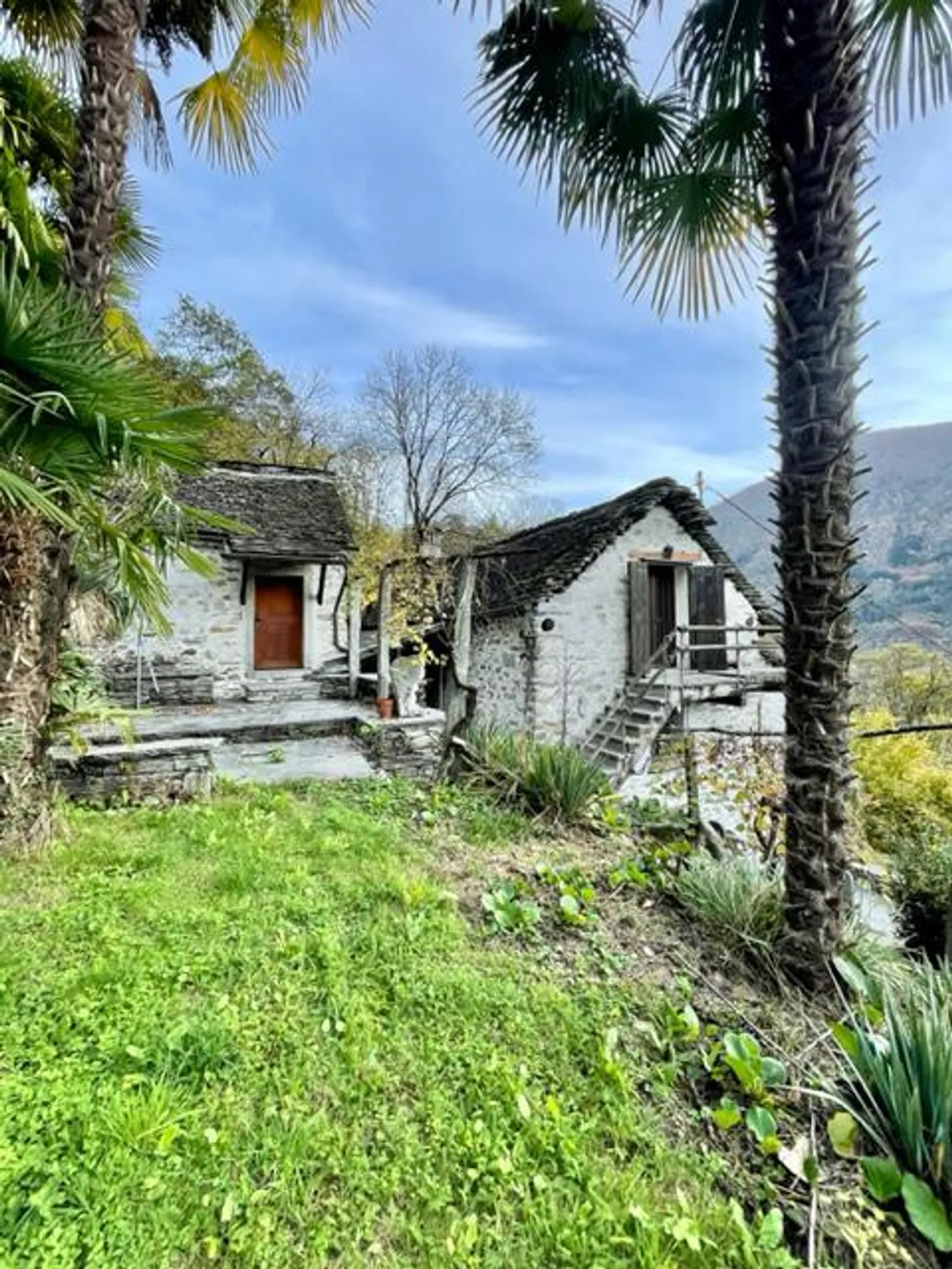 Casa singola in affitto - Foto 6 di 14