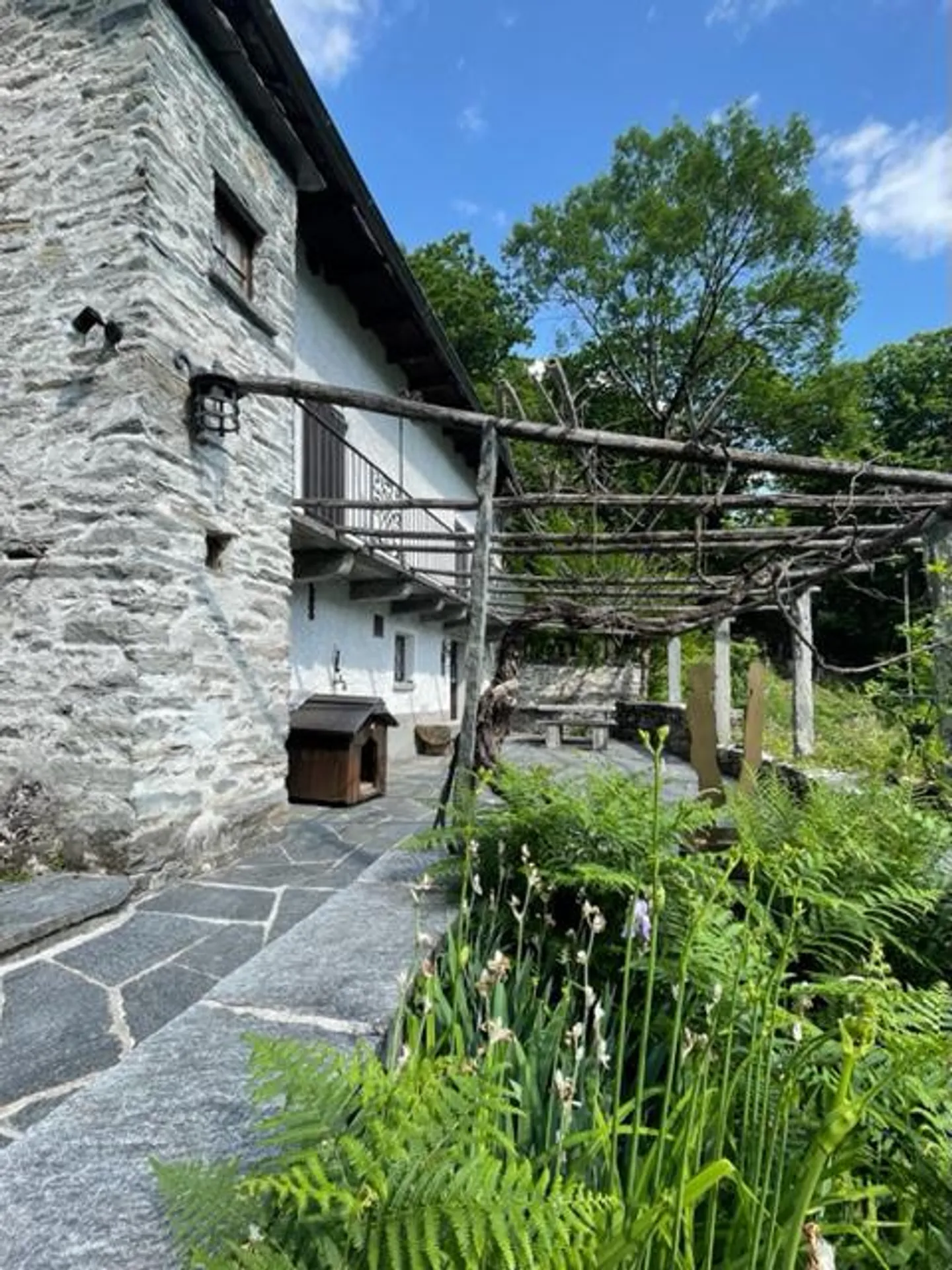 Casa singola in affitto - Foto 1 di 14