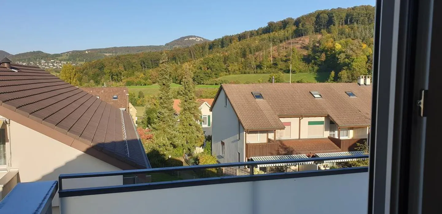 Charmante appartement sous les combles au cœur d'Aesch - Photo 9 sur 11
