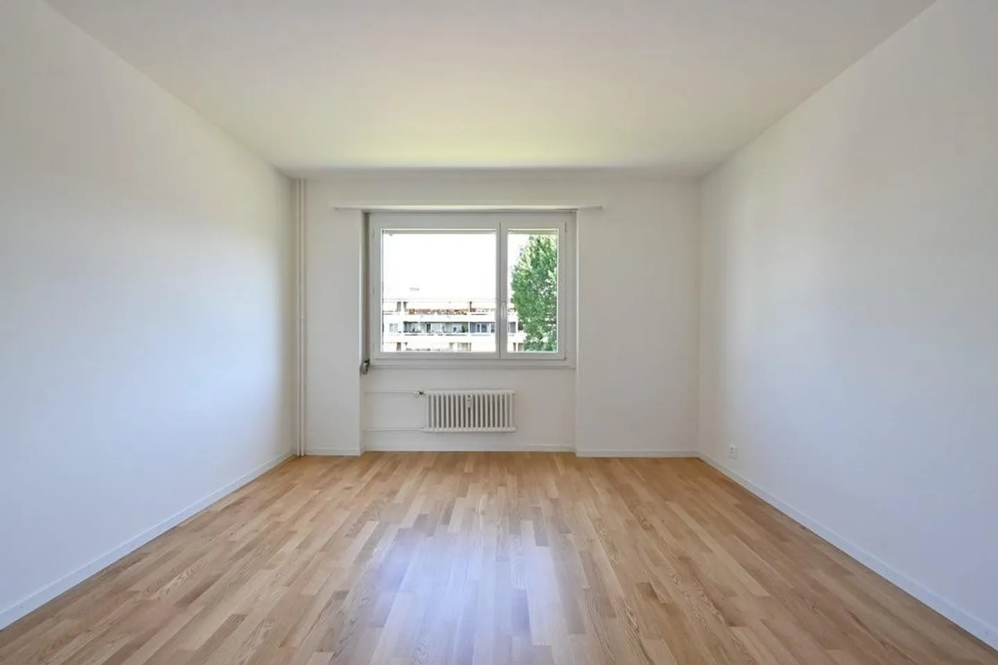Il tuo appartamento da sogno ti aspetta: 3.5 stanze appena ristrutturate! - Foto 5 di 9