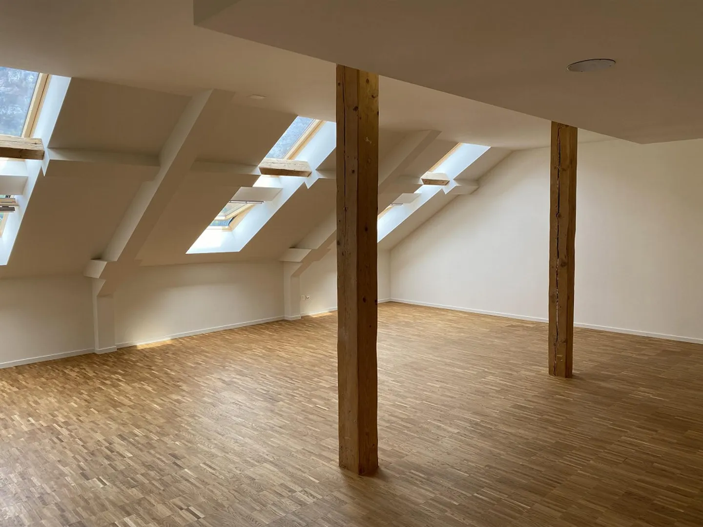 Maisonette-Loft, Alte Spinnerei Murg, freie Sicht auf See & Berge - Foto 4 von 17