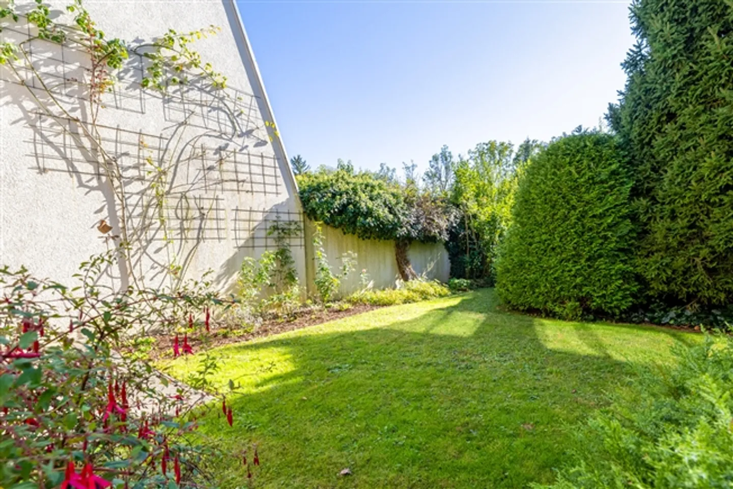 Votre maison avec tranquillité, connexion et potentiel - Photo 10 sur 13