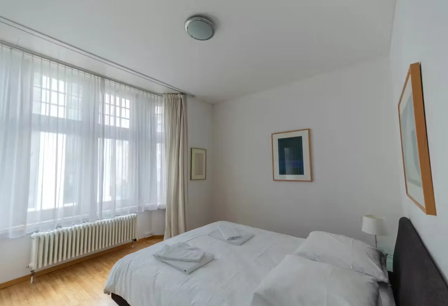 Charming Zurich Apartment - Photo 8 of 10