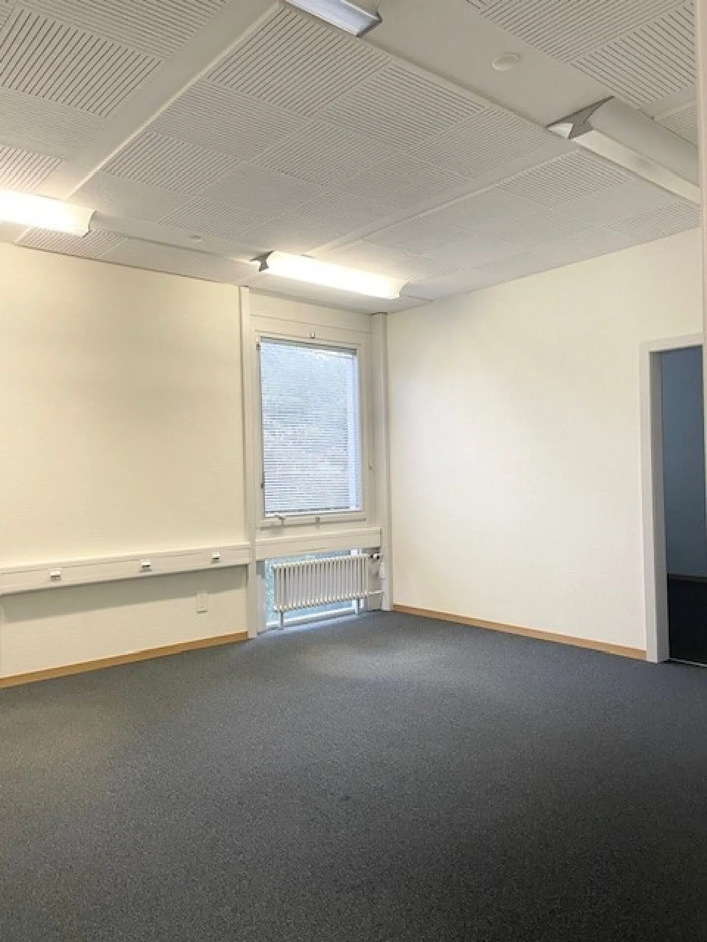 1st Rent Offered - Photo 7 of 13