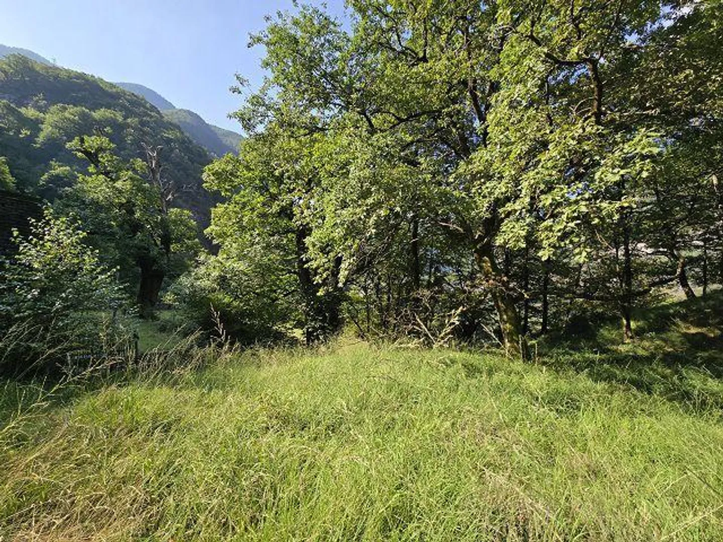 Trois bâtiments rustiques à rénover avec beaucoup de terrain dans un endroit très calme et ensoleillé - Photo 12 sur 29