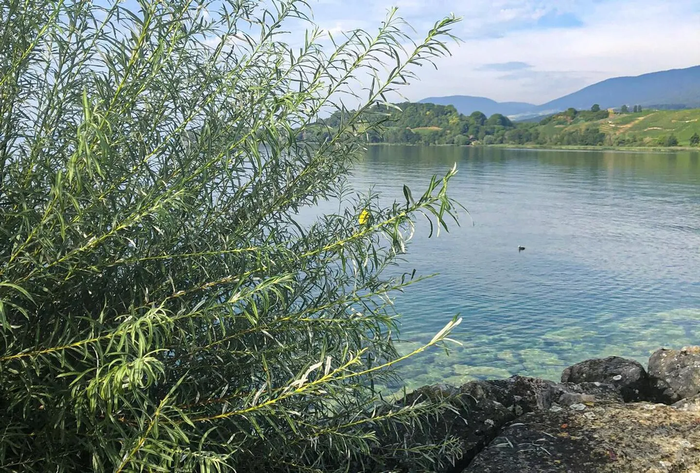 Affascinante casa di villaggio ristrutturata - Foto 16 di 23