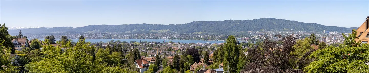 Breathtaking panoramic view over the lake, the city, and the Alps - Photo 2 of 16